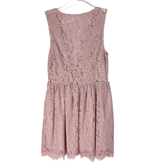 Tobi Lace Dress In Blush Pink - Picture 5 of 8